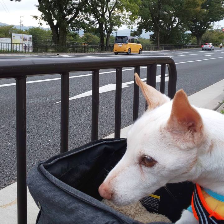 7a139ed6 64ad 465a 8f0b 5dfb7e2df675 1570228938820