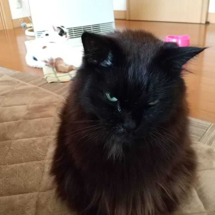 7a13c089 5c76 4f52 afea b93e31c75906 1647471875272