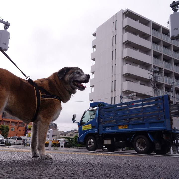 7a13c472 e27c 434e acd3 bac5c694a734 1562371612541