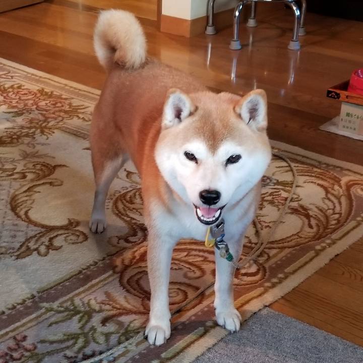 7a13ced4 200a 4165 8f45 bb0d04fc9c7b 1567843552345