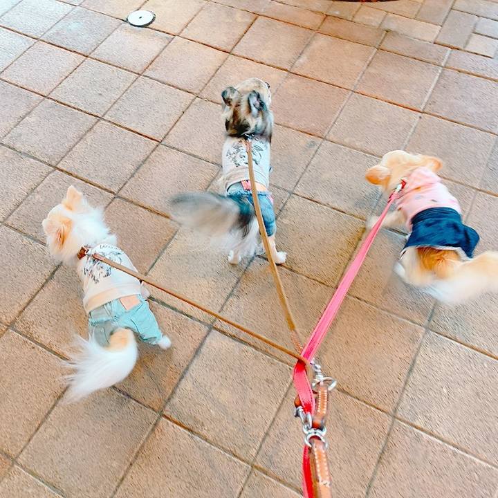 7a13d38f aef1 4e04 a2ac ce22c9f6351c 1634020473388