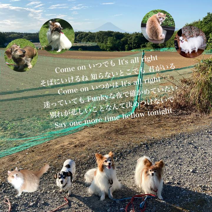 7a13ebe9 62f2 46cb bf0a 20c99e118398 1691850665642
