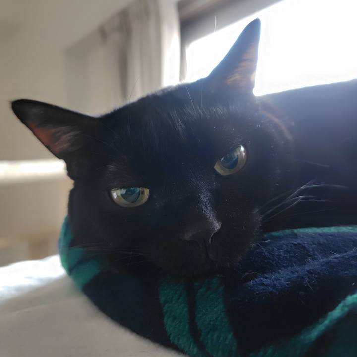 7a13ff16 21ad 4bdf 9c14 ab7b71173208 1733353016293