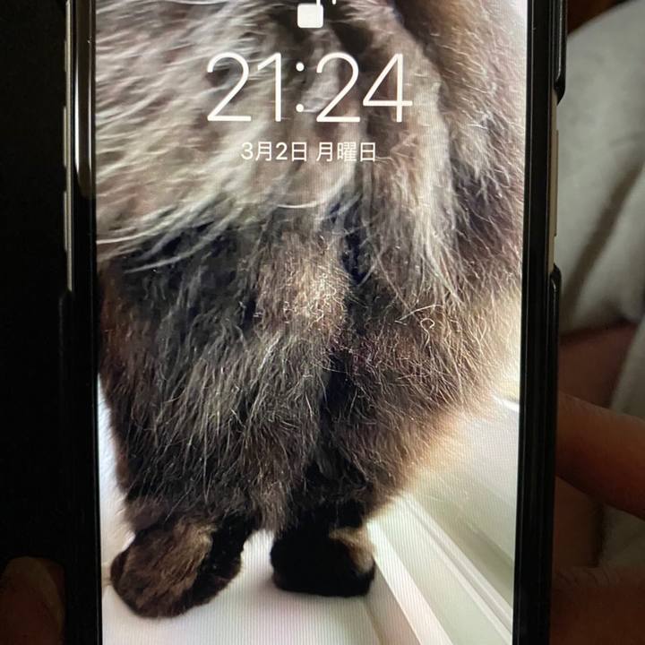 7a13fffc 7415 4974 967f 94ac2011dafe 1583383035548