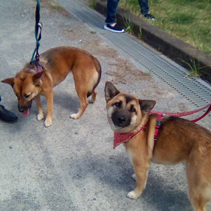 7a143271 2a35 4ac6 bdb2 b871ac4a124a 1523160400112