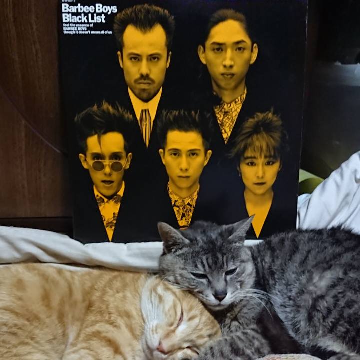 7a144716 49a5 4659 86cd f04d6927ee27 1588509751623