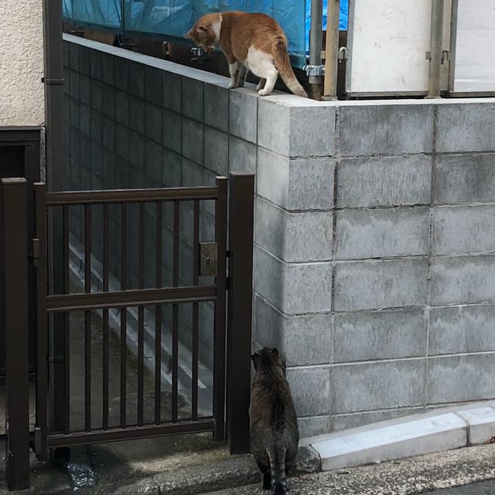 7a145ef0 b3d0 40ed 9d00 bdb0809349e5 1543414404530