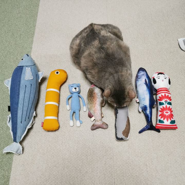 7a149bd1 fa80 4e73 a5dd 7fba8bf35207 1638070549813