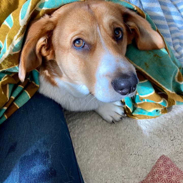 7a14b12f 4744 4399 990d 5dcd63840a61 1641610509071