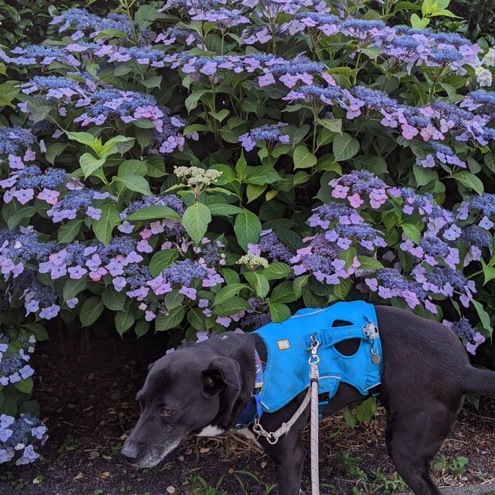 7a14be3f bffc 44ab b3c7 c6e251230035 1685790723541