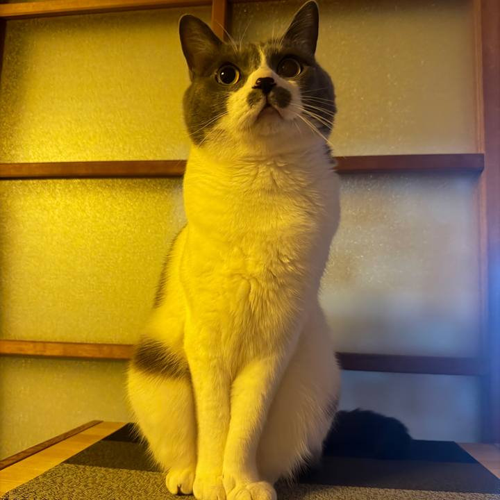 7a14dca6 5b7c 4e15 ba30 7652a4aa6473 1764896461404