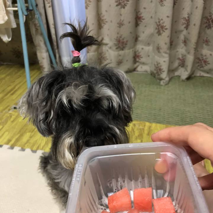 7a14e847 5bd6 4251 8c77 c19d246e74e9 1532429812329