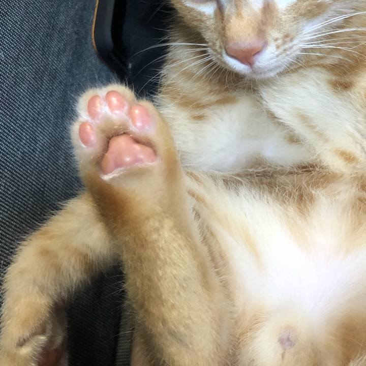 7a14ed4a 597f 4aeb b280 871252788ca2 1564670285816