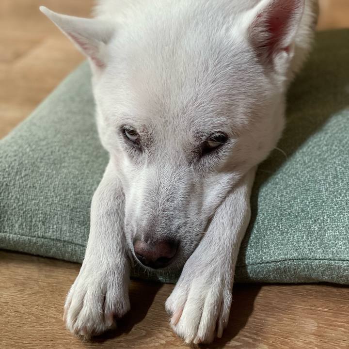 7a156cef aa55 4edd a84f de15922625ed 1693530524604