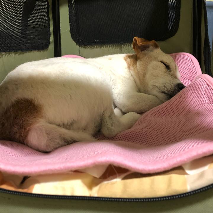 7a157c69 5164 4137 b68e a71a5c36ce83 1525003946398