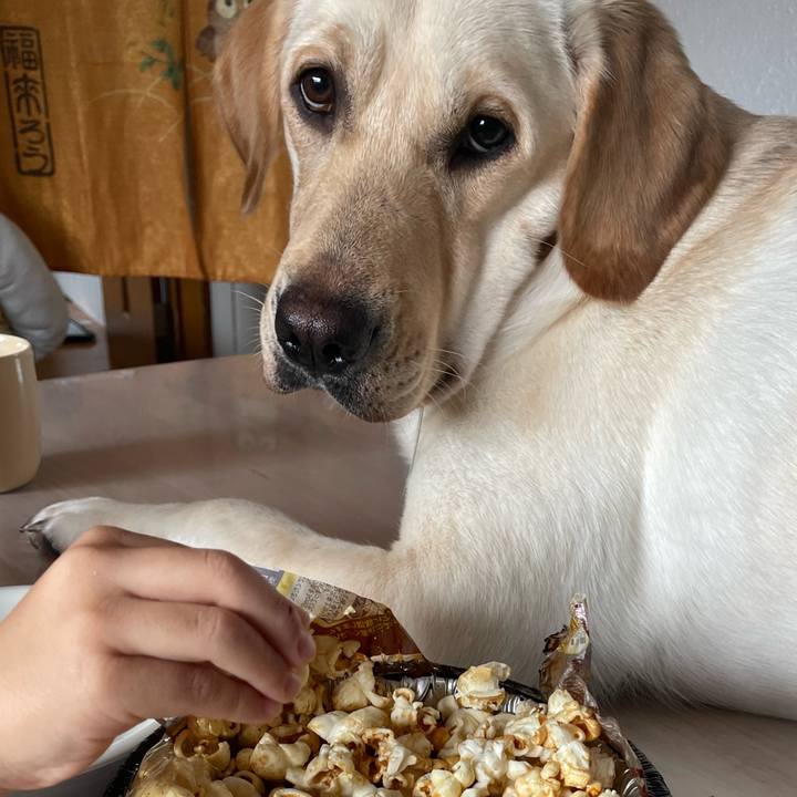 7a15f02c 945a 4c1d ac57 b53a56fc6d2a 1657756028816