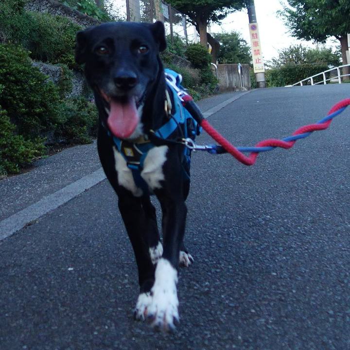 7a163a90 7b23 428d aa24 54ace0830885 1626863973802