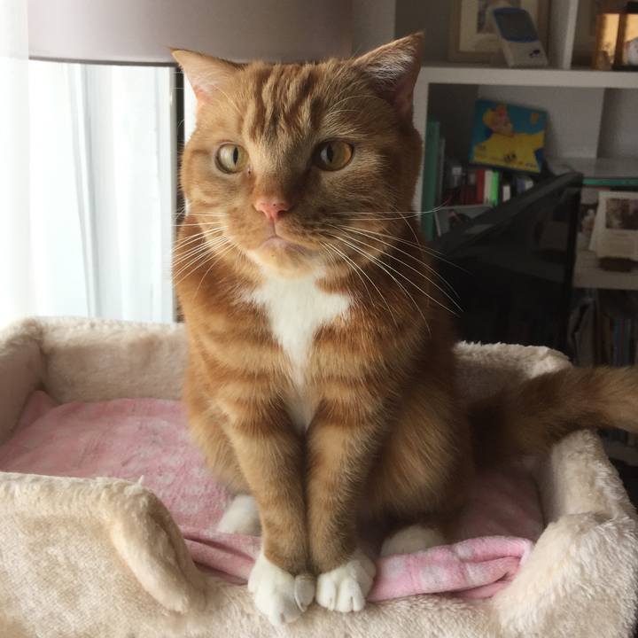 7a167899 93c5 4a8d af51 b82bb3ef4518 1555373022281