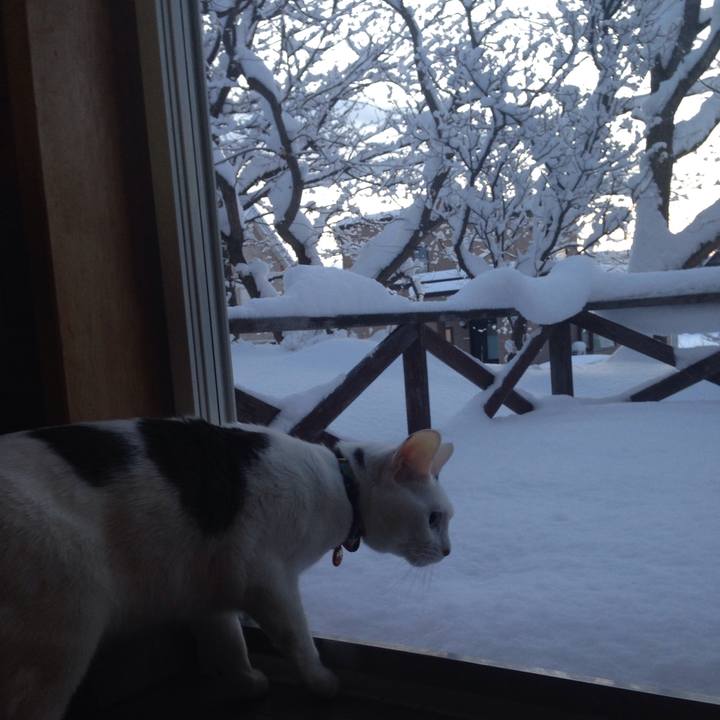 7a168741 5f58 4bee 975e a35fbe736347 1517089367667