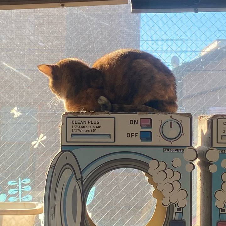 7a169407 f179 4e64 b6d4 08721874ab0d 1732923923610