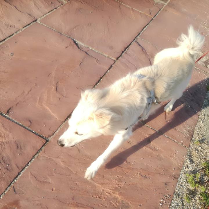 7a16b5cb b2e2 46dc b869 4be6c05fb286 1509929665378