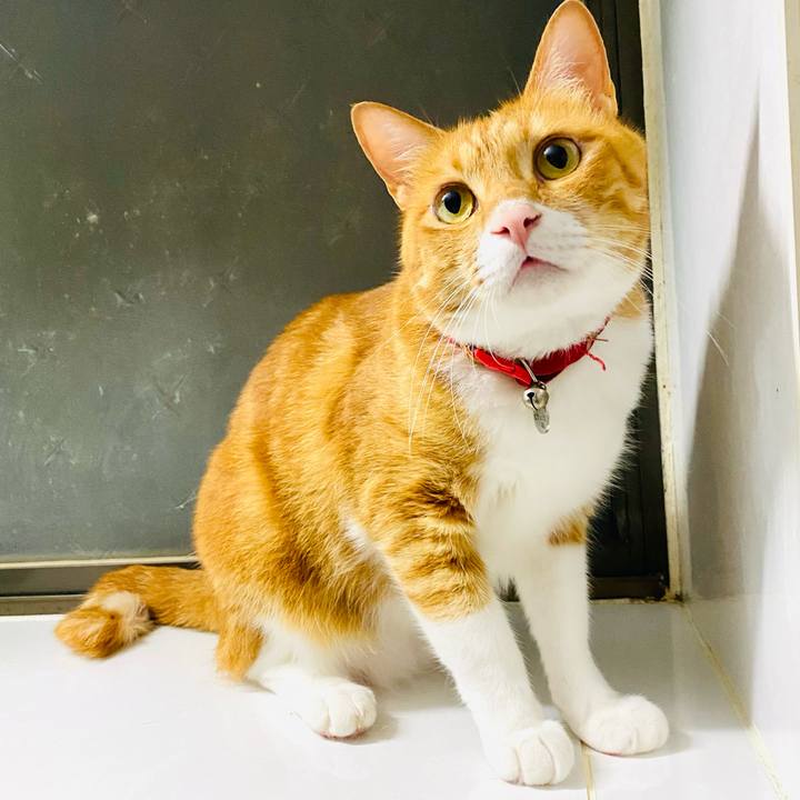 7a1717a4 d82a 4107 9cf9 d1fee6a0307f 1720360911296