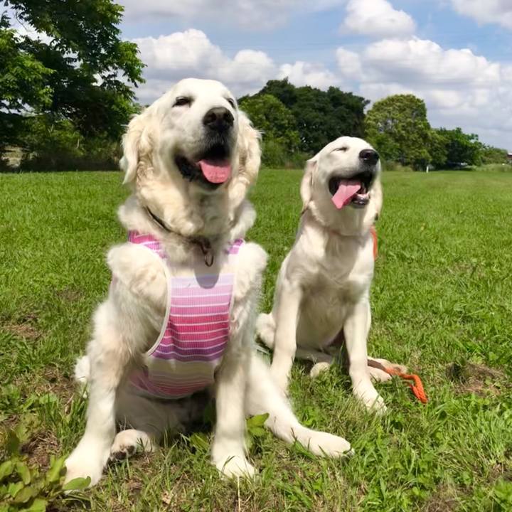 7a171adb cdb7 42b2 8441 abd893cb6286 1560517630789