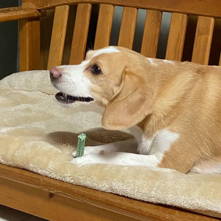 7a1720e7 8327 40fa 89f4 6f04d32c06f0 1630324448684