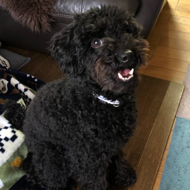 7a1758b4 63f8 40cd 9dd8 9efb3a020f11 1520807889213