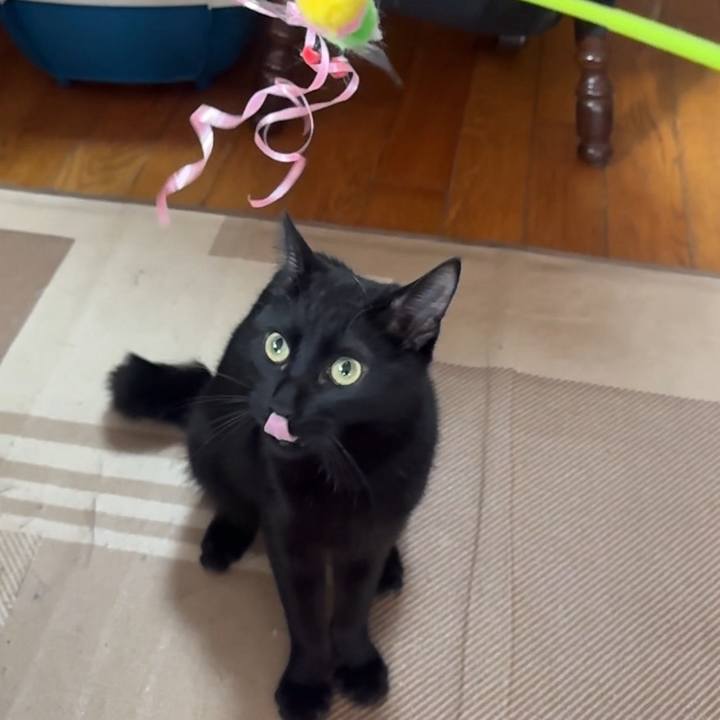 7a176346 bfda 4fdd 95f8 2bb1b9fa4421 1733405284454