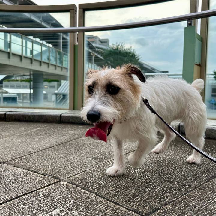 7a1777ca 093b 4aa5 bb41 4acef72dd8ba 1727619496053