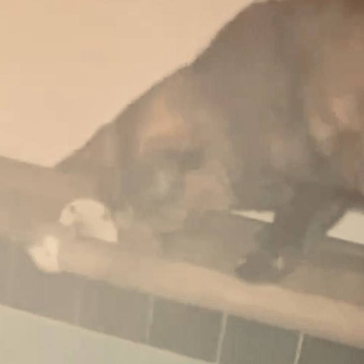 7a177dbb 3d38 4a43 9d19 2e1dfd8b9302 1742499923410