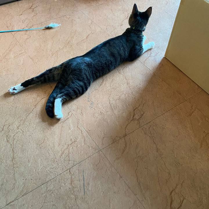 7a17eb78 5a08 468b 941b 49f32e685faf 1659432372340