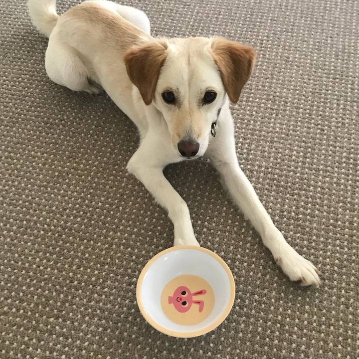 7a18078e 23db 42e8 a74f 3245226366ce 1524272370920