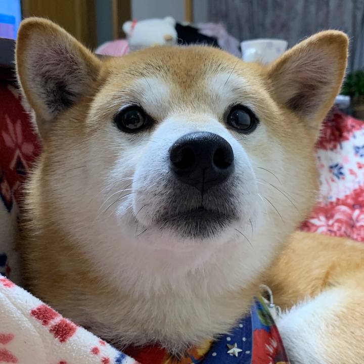 7a181c2c fbc9 4159 8eaa 433cc2a9e633 1577617548809