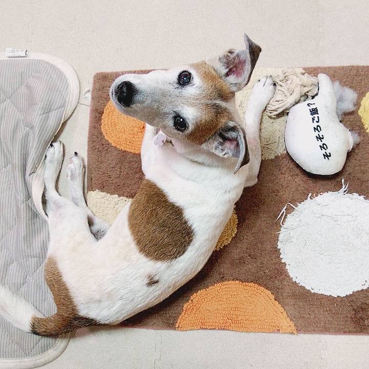 7a1828c6 d392 4045 b7c8 285da7a2f4d0 1594683248516