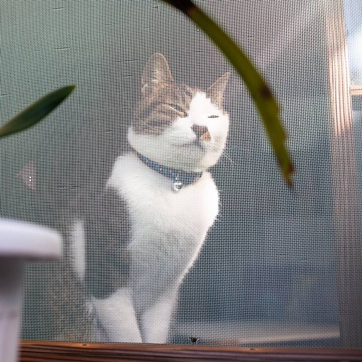 7a184479 9e50 4846 b686 f2ce7812a3bc 1548241364123