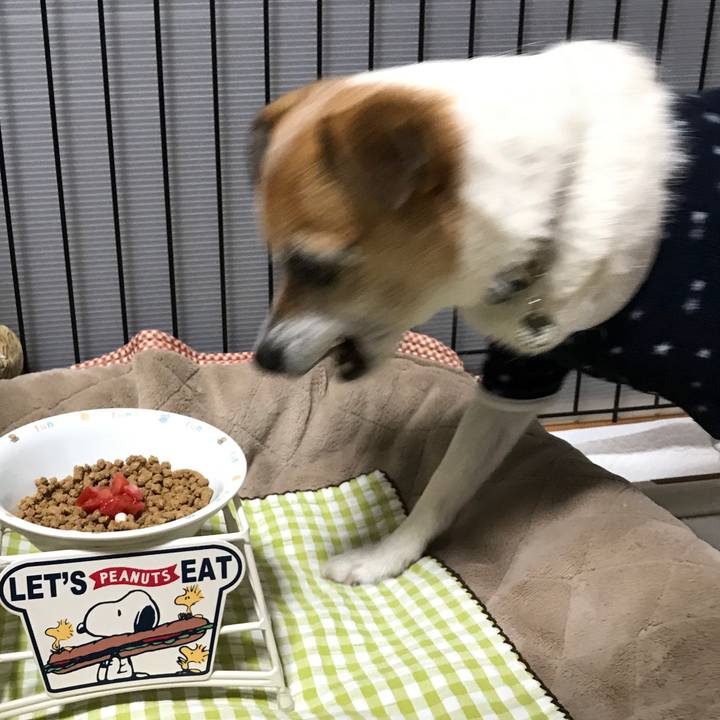 7a184497 95b6 4ebc 90b3 342fab5de421 1586516405902