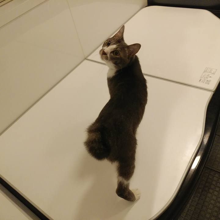 7a1876b0 8da2 46c5 bb4c 1d3242c9e637 1590927746082