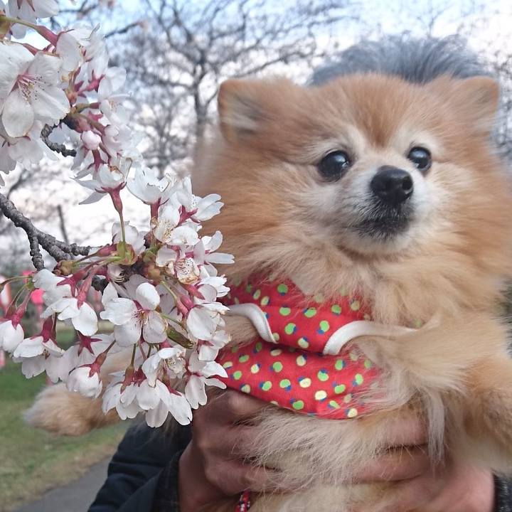 7a18a5a6 a9d8 4c73 bf88 c6af72e49e34 1523264206796