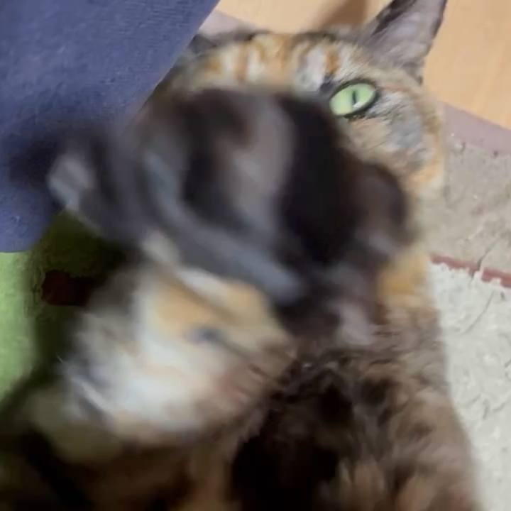 7a18b29d 2c69 4a8e a2af 27ef0bd1d0a3 1774039681403