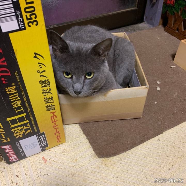 7a18b311 d5a5 4de7 8c35 071c267c88f7 1590150421865