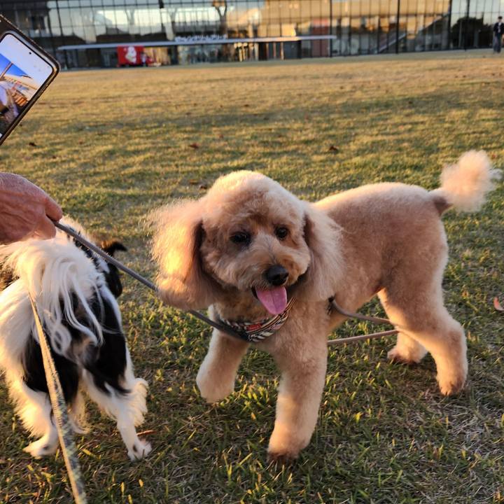 7a18c6e5 f6de 4a28 971f 1a718bb54a47 1763198478278