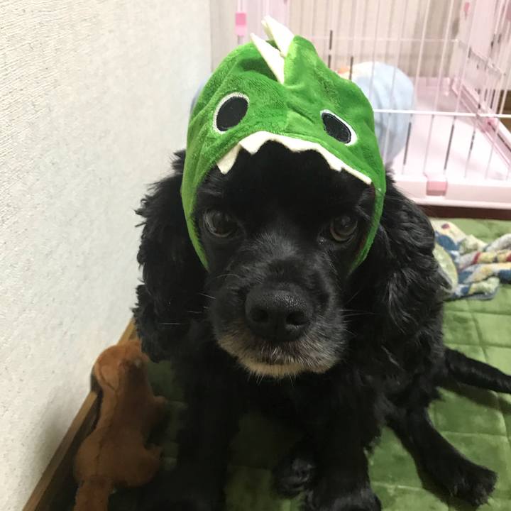 7a192330 0bf3 4d1d 9c3f 0735c565ed30 1540682411346