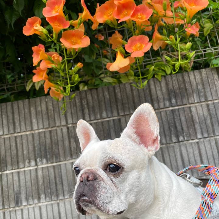 7a194b96 f51e 449c a762 f849e7629447 1751413033273