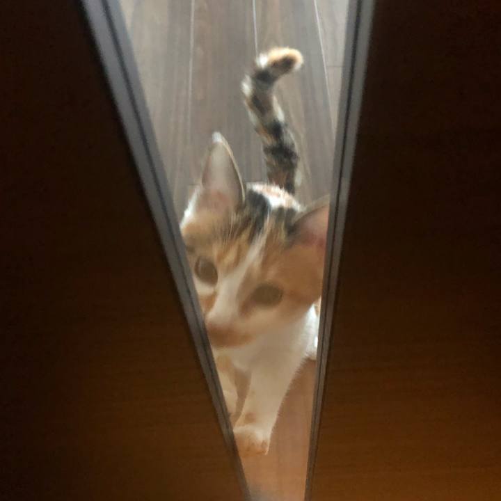 7a1965aa 4ecd 498d adba 8ef83aaf42f6 1574206534159