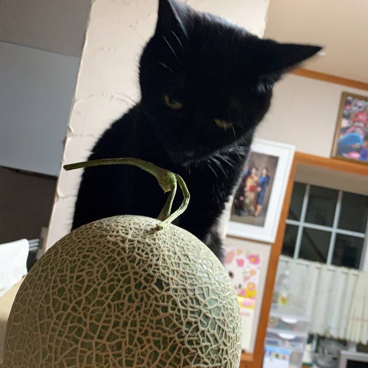 7a196a90 caec 4865 9108 817a6455797d 1625579516644