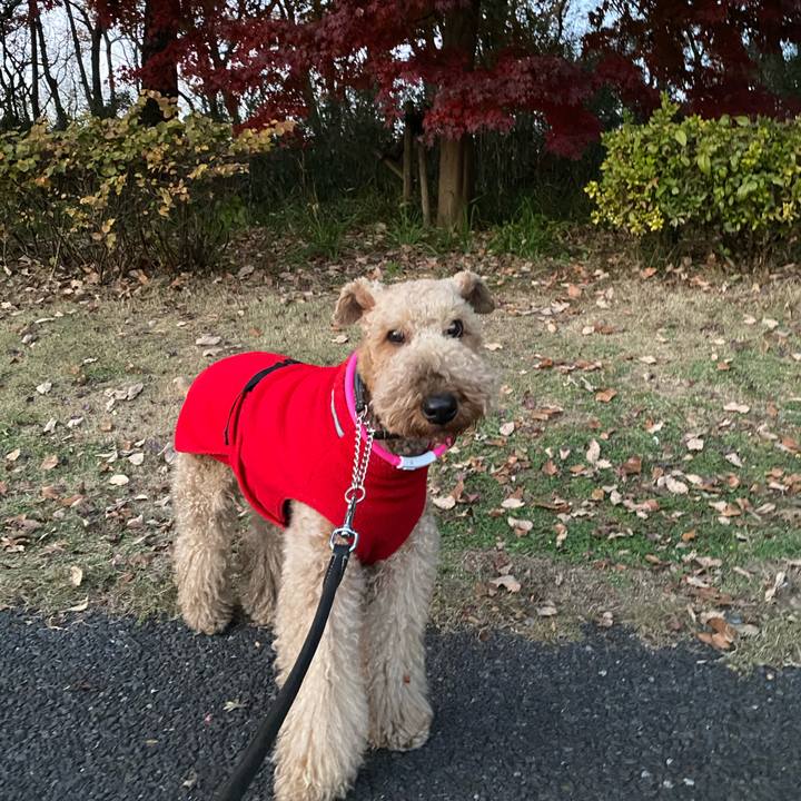 7a19b660 04ed 4eb4 b98c b937a673cb04 1607516112901