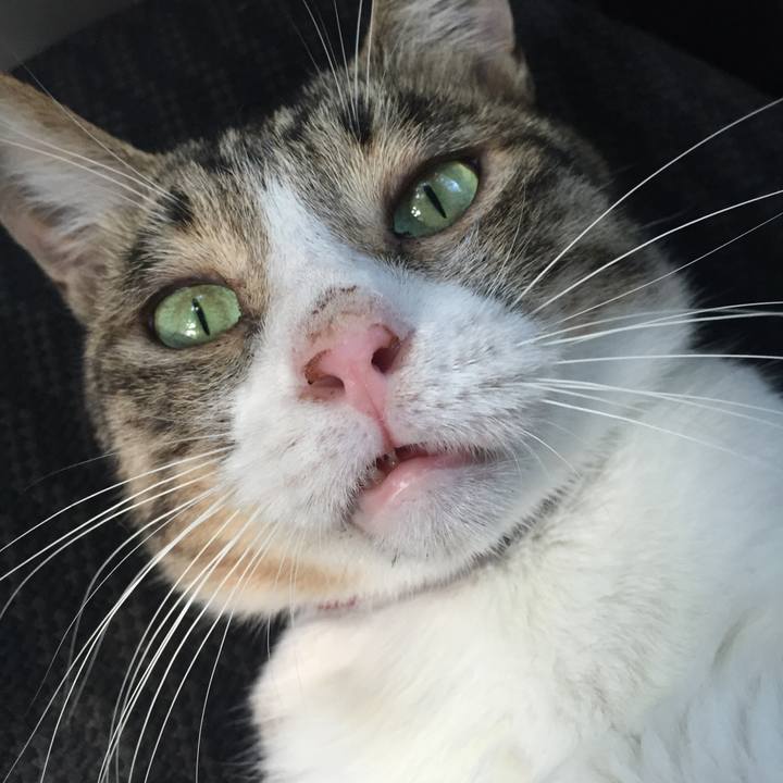 7a19b7a8 51f2 4621 b3bc 5e09405aa573 1534136194791