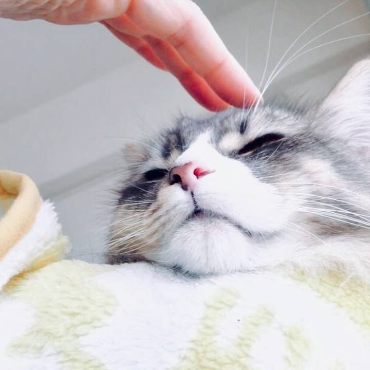 7a19c072 c153 4f26 94d9 81629ce11ec7 1761278204960